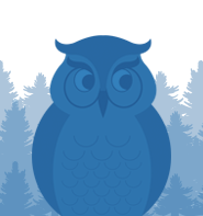 Picture of Oliver The Brainy Owl